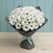 Букет цветов из:  Хризантемы #REPLACE_PRED# Отрадном Воронежской области
