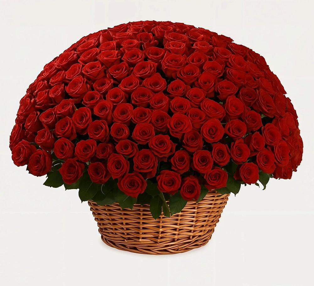 Премиум букет из: Розы в Отрадном Воронежской области