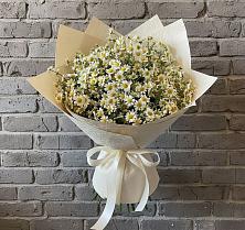 Букет цветов из:  Ромашки в Отрадном Воронежской области