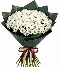 Букет цветов из:  Хризантемы в Отрадном Воронежской области