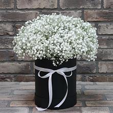 Цветочная композиция из Гипсофила в шляпной коробке в Отрадном Воронежской области