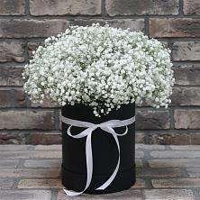 Цветочная композиция из Гипсофила в шляпной коробке в Отрадном Воронежской области